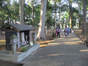 猛暑を避けて緑陰を歩く「八千代台西市民の森」「藤崎森林公園」　